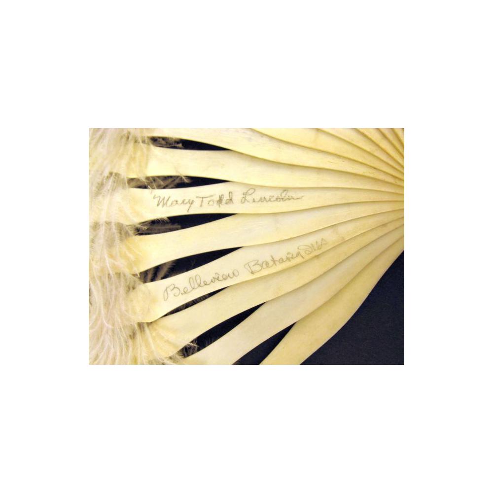 Image: Mary Todd Lincoln's ostrich fan