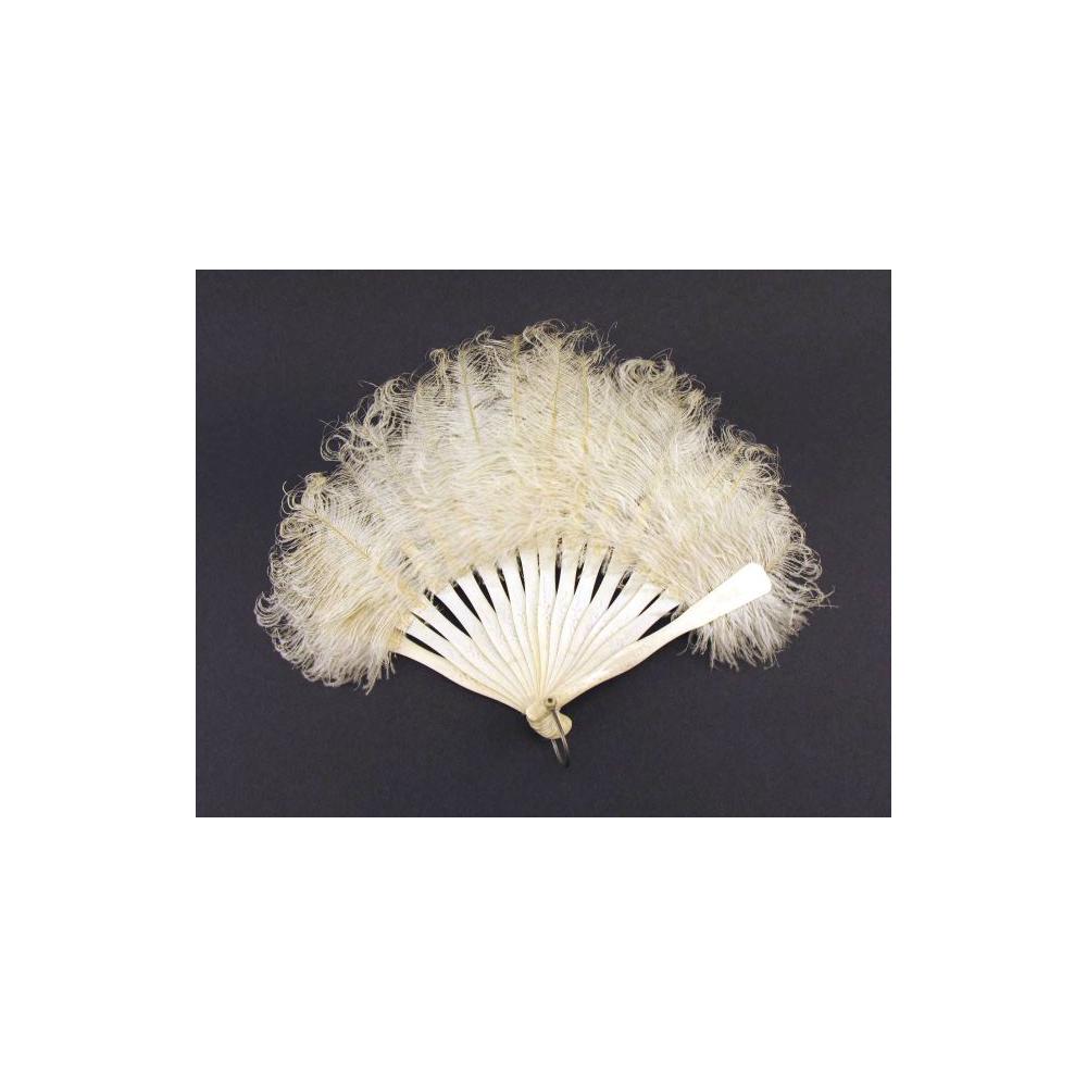 Image: Mary Todd Lincoln's ostrich fan