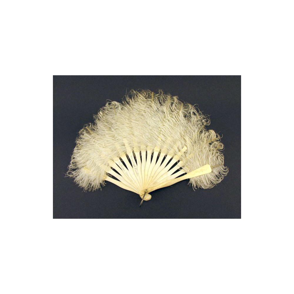 Image: Mary Todd Lincoln's ostrich fan
