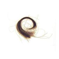 Image: lock of Abraham Lincoln's hair