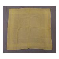 Image: Robert Todd Lincoln cotton handkerchief
