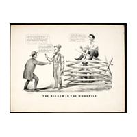 Image: The Nigger in The Woodpile