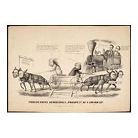 Image: Progressive Democracy