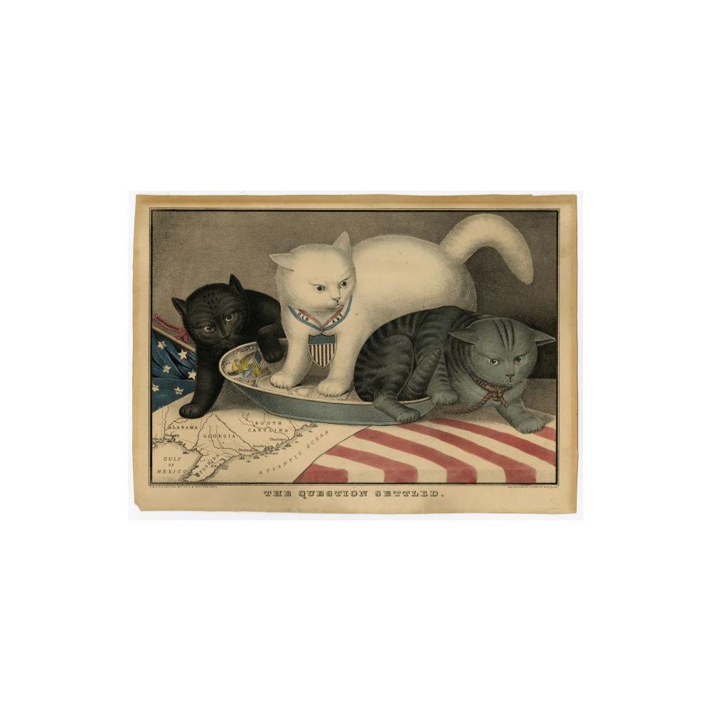 Image: The Question Settled