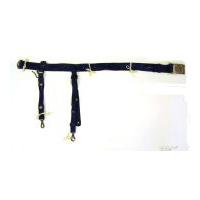 Image: Civil War Officer's Sword Belt