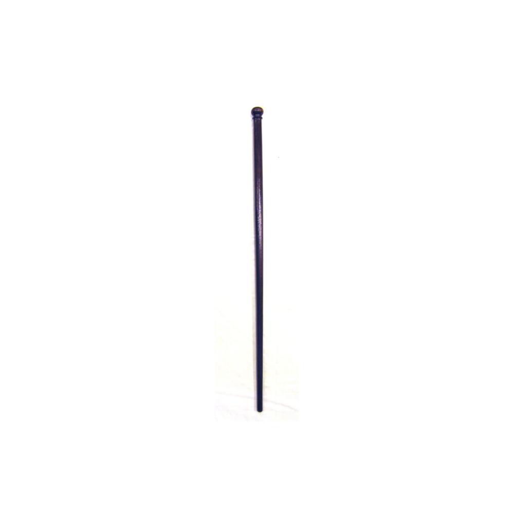 Image: walking stick or cane