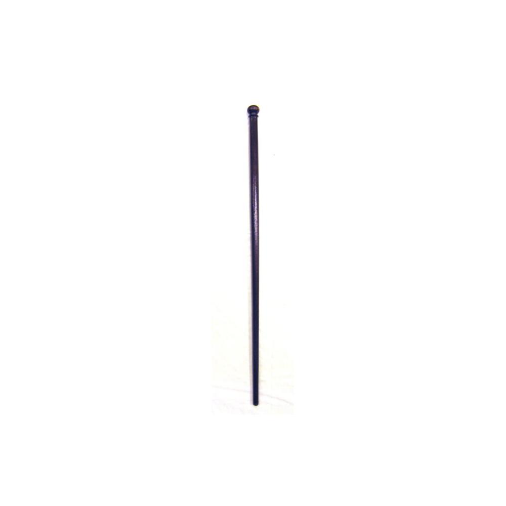 Image: walking stick or cane
