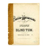 Image: The Battle of Manassas