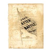 Image: Just After the Battle