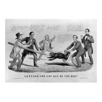 Image: Letting the Cat Out of the Bag