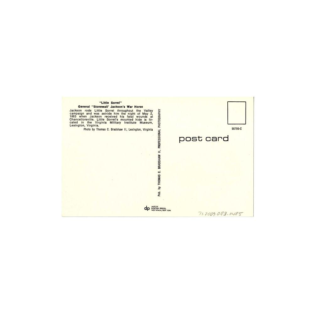 Image: Little Sorrel, General Stonewall Jackson's War Horse