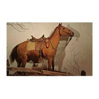 Image: Little Sorrel, General Stonewall Jackson's War Horse