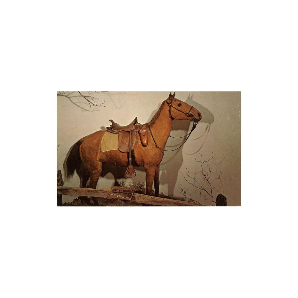 Image: Little Sorrel, General Stonewall Jackson's War Horse