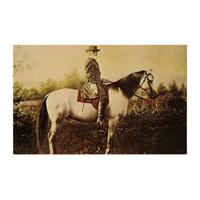 Image: Robert E. Lee on Traveller