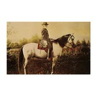 Image: Robert E. Lee on Traveller