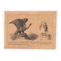 Image: Our National Bird as it Appeared When Handed to James Buchanan, March 4, 1857