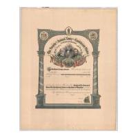 Image: Certificate of Membership in The Society of the Army and Navy of the Confederate States in the State of Maryland