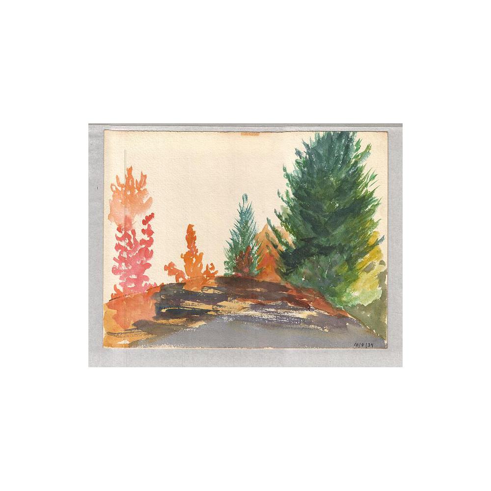 Image: Autumn scene