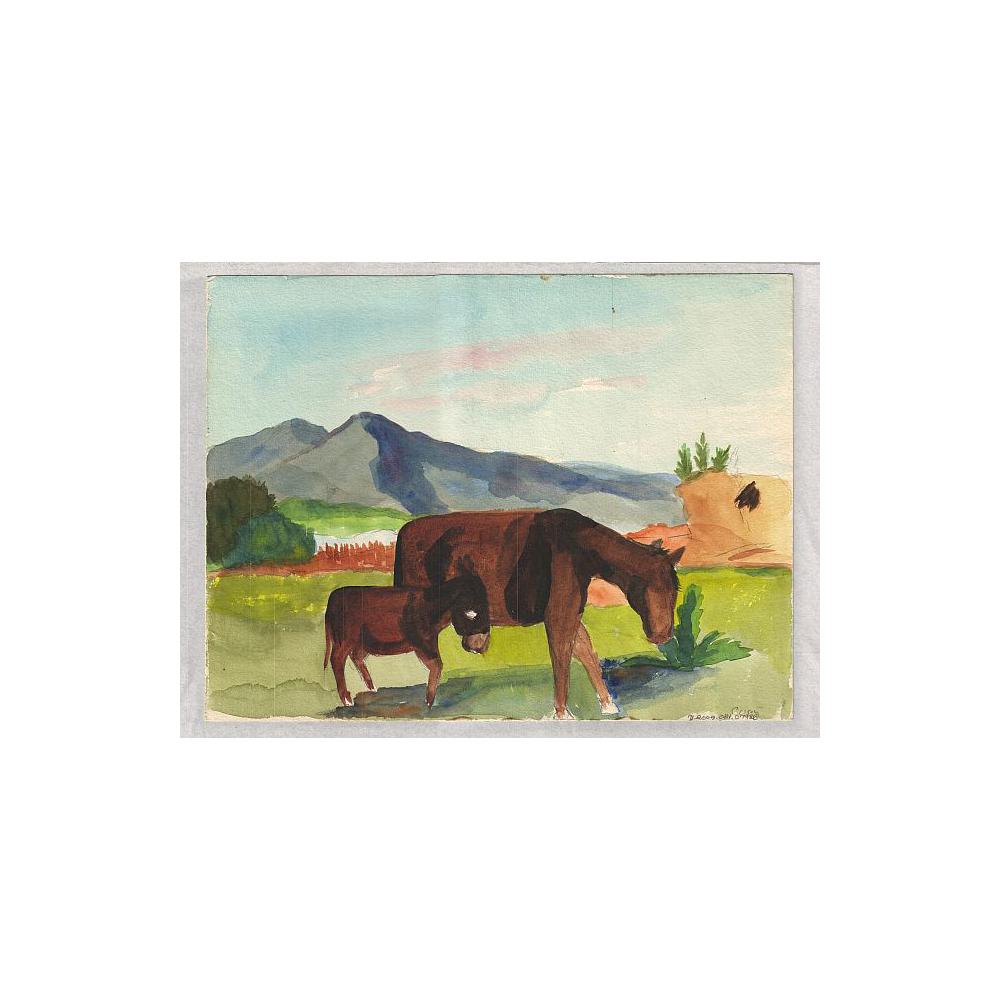 Image: Horses Grazing