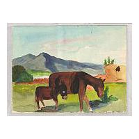 Image: Horses Grazing