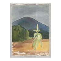 Image: One Stalk of Corn