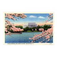 Image: Lincoln Memorial and Cherry Blossoms, Washington, D. C.