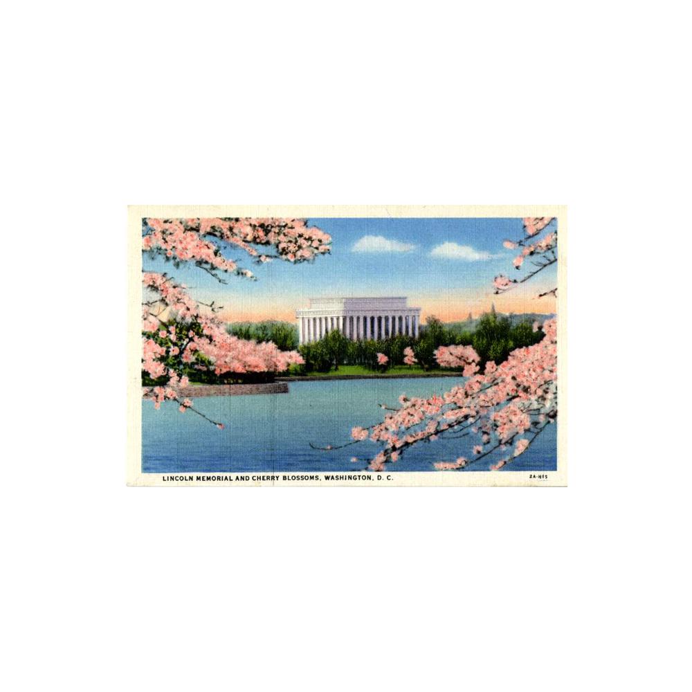 Image: Lincoln Memorial and Cherry Blossoms, Washington, D. C.