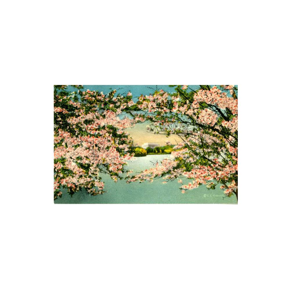 Image: Lincoln Memorial with Cherry Blossoms