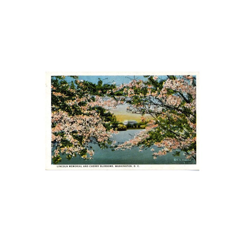 Image: Lincoln Memorial and Cherry Blossoms, Washington, D. C.