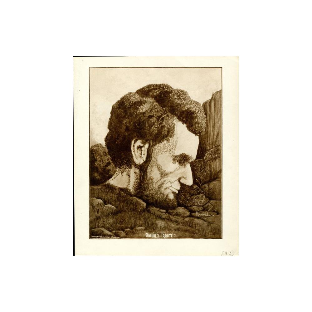 Image: Nature's Tribute