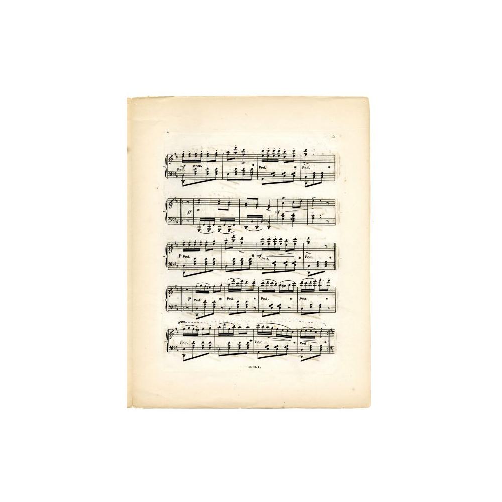 Image: Lincoln Quick Step