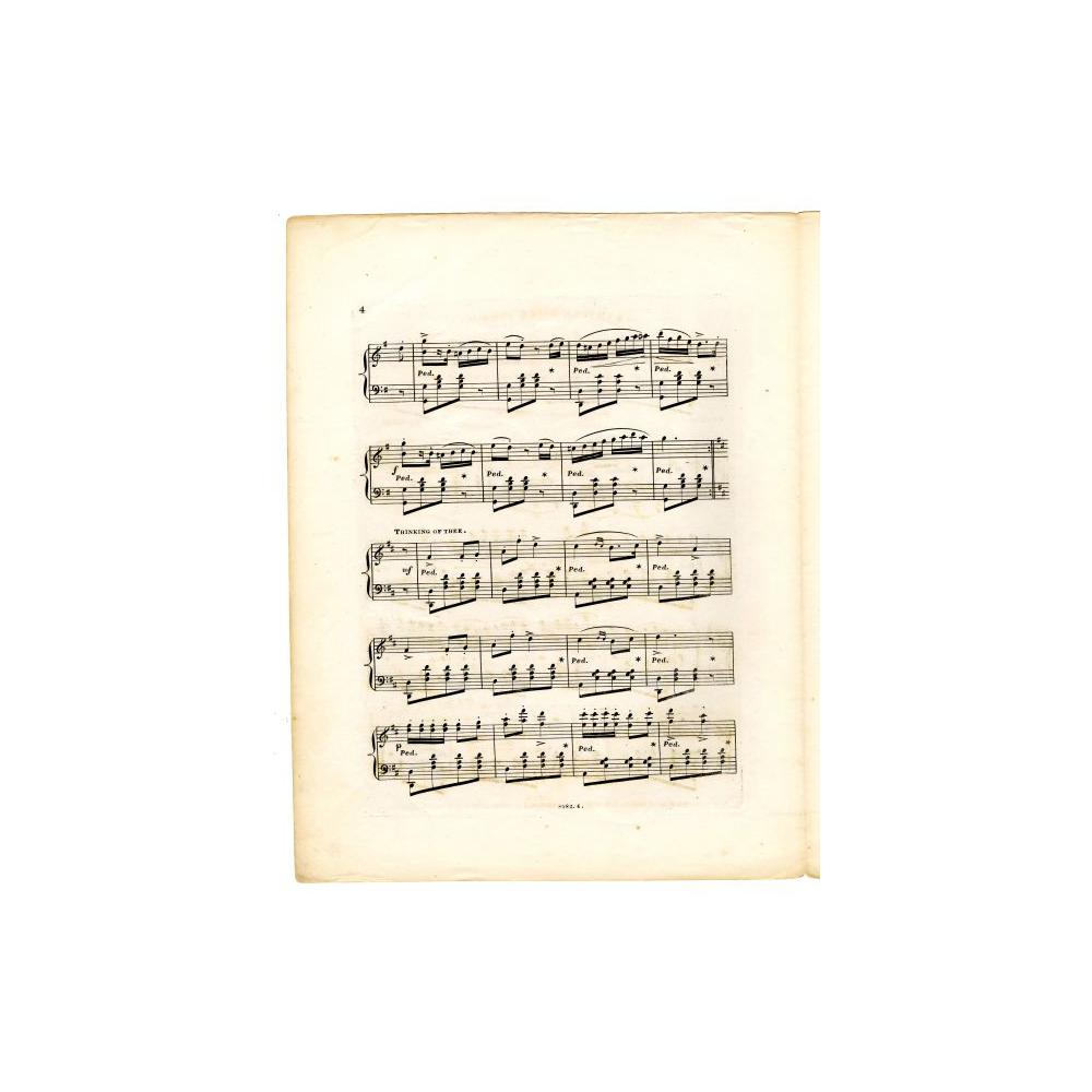 Image: Lincoln Quick Step