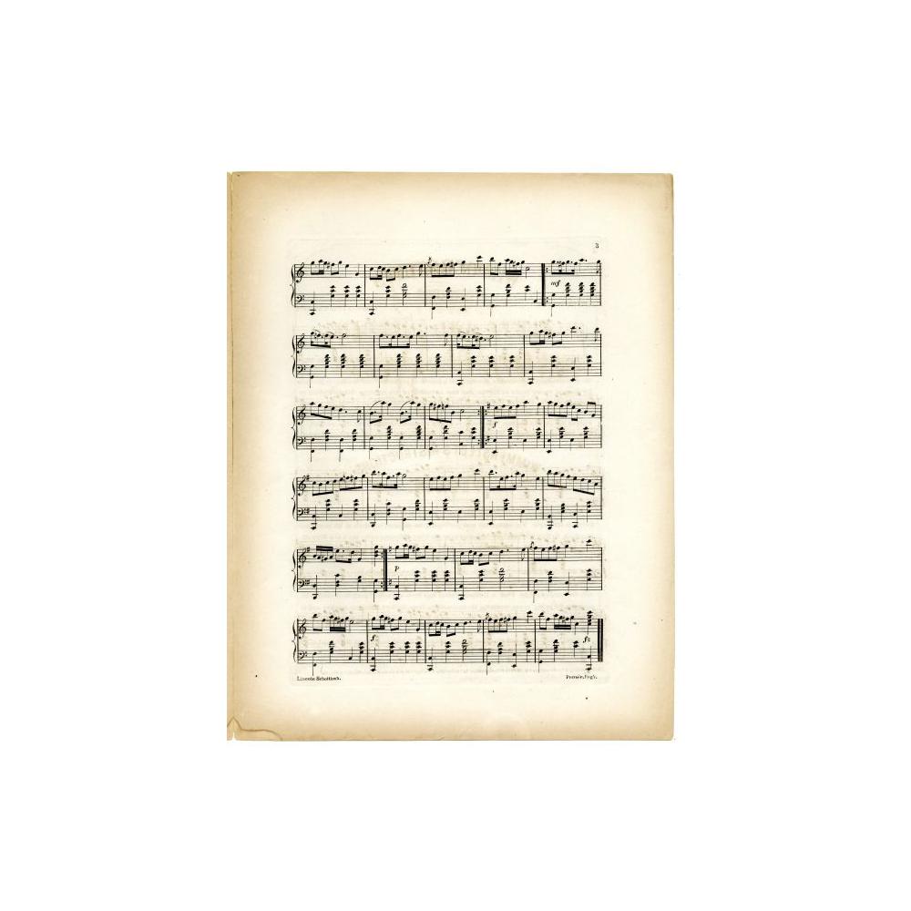 Image: Lincoln Schottisch