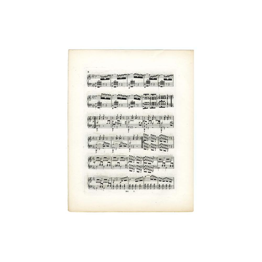 Image: The President's Emancipation March