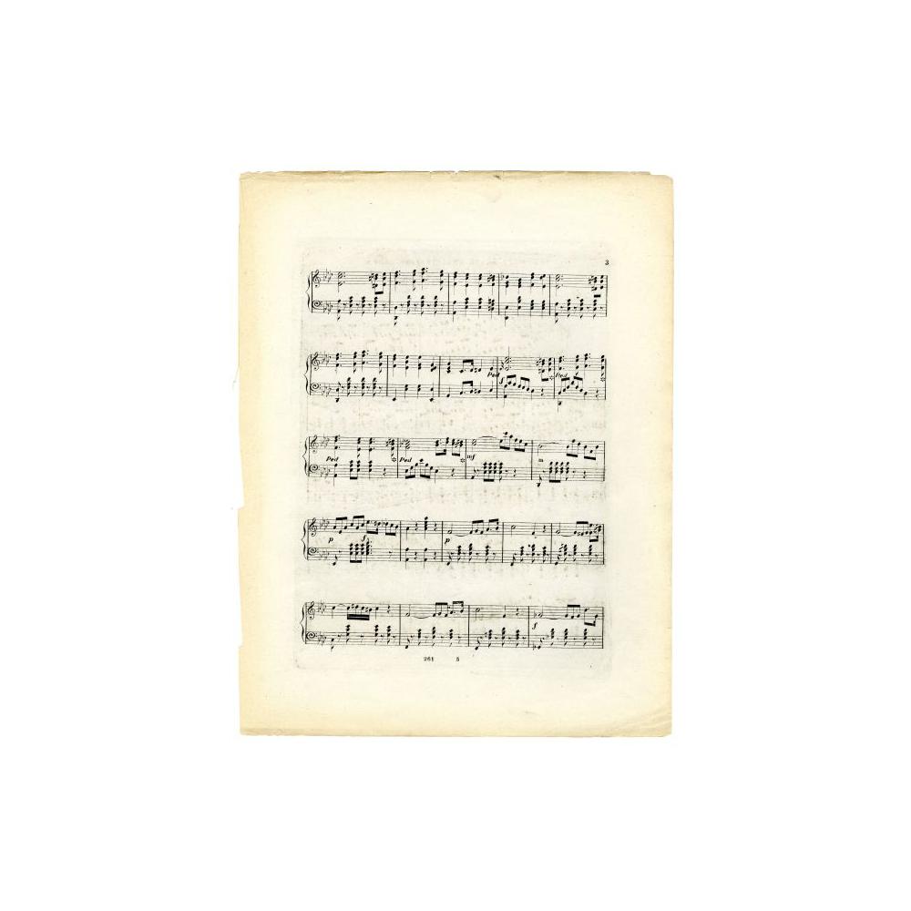 Image: The President's Emancipation March