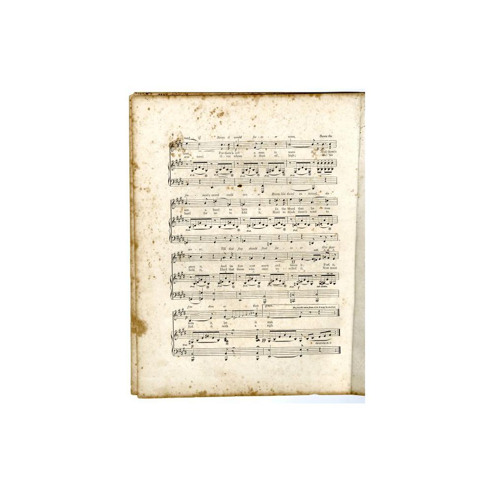 Image: The Conquered Banner