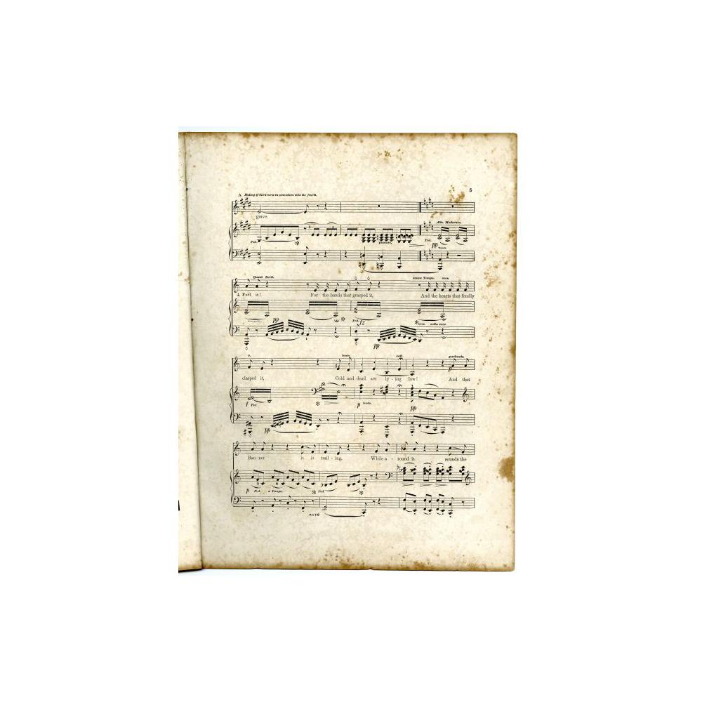 Image: The Conquered Banner