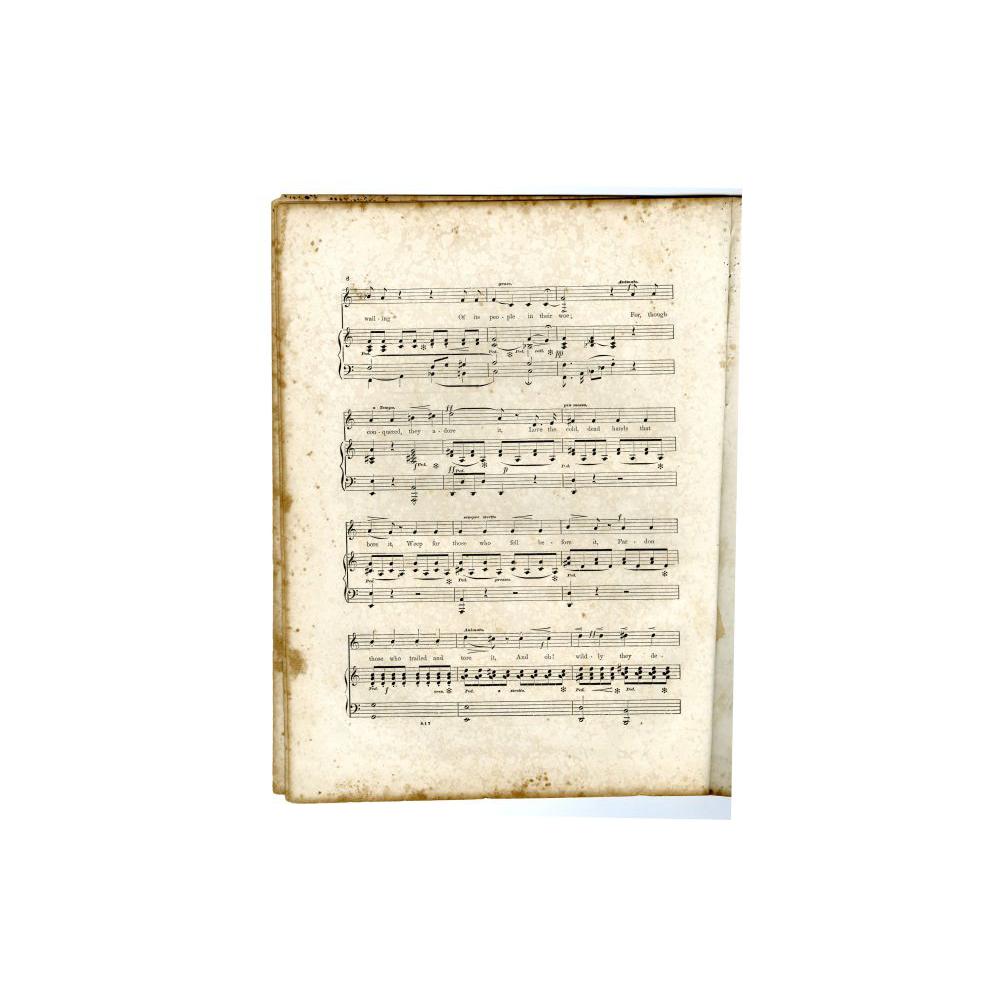 Image: The Conquered Banner