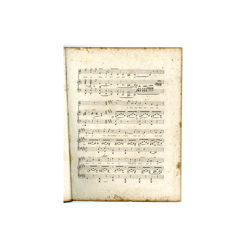 Image: The Conquered Banner