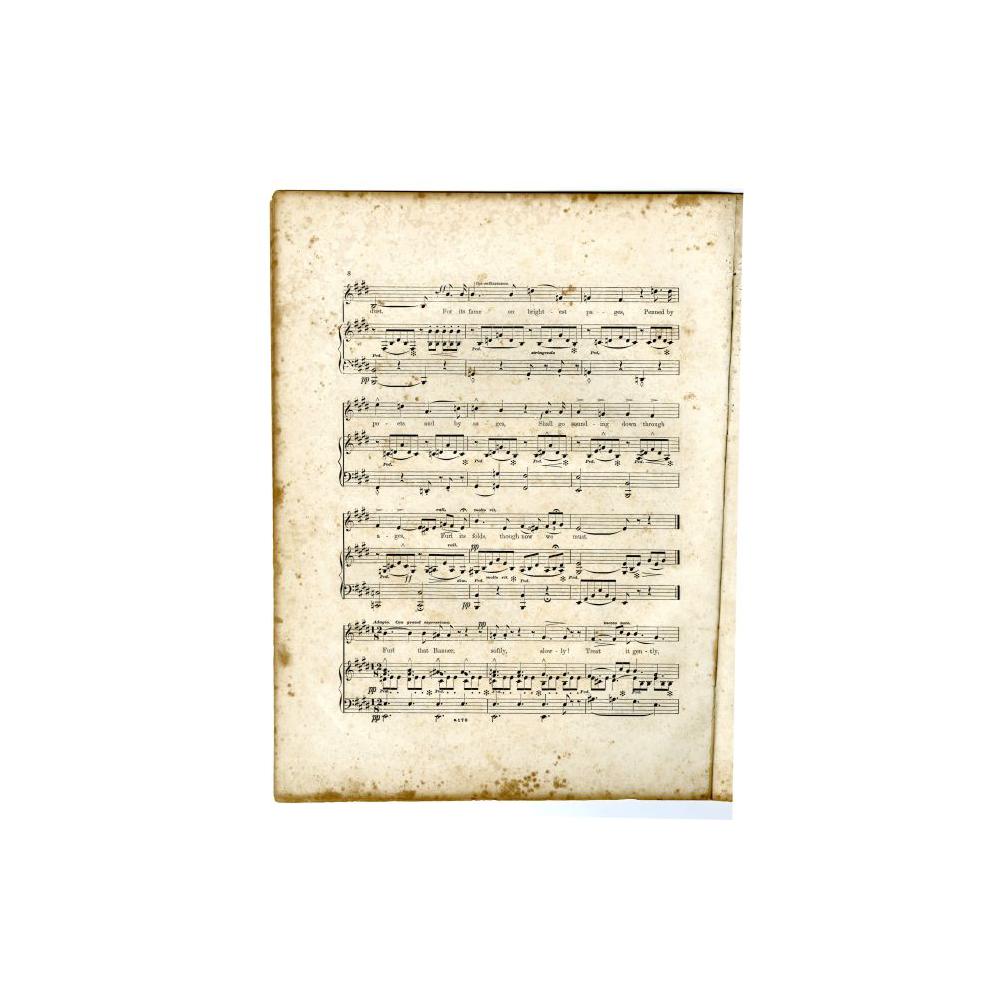 Image: The Conquered Banner