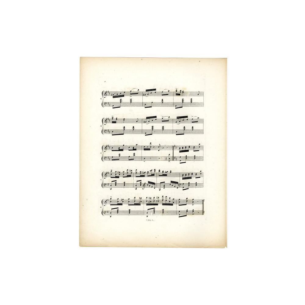 Image: Douglas Polka
