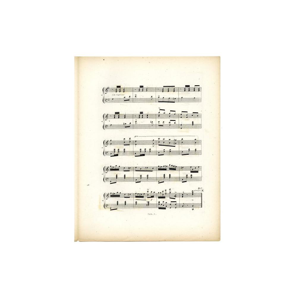Image: Douglas Polka