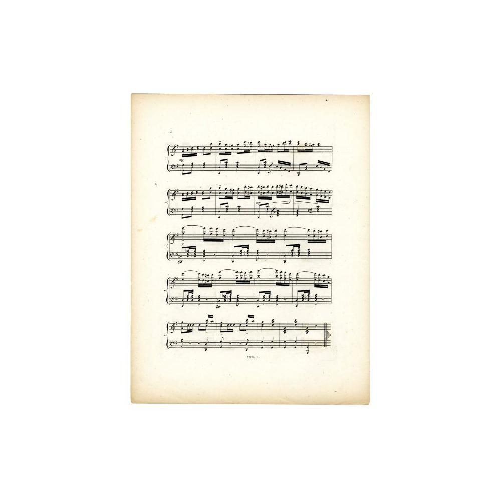 Image: Douglas Polka