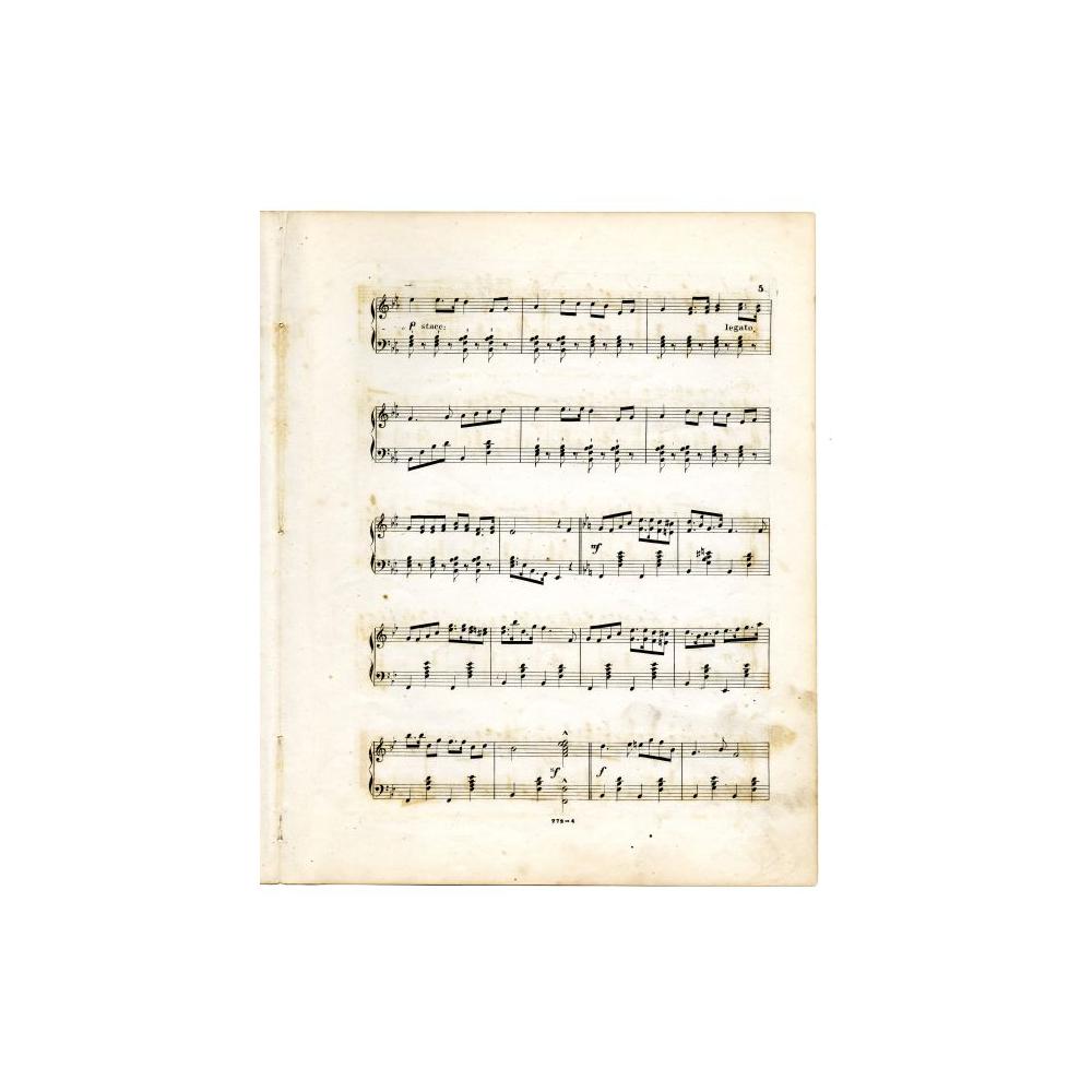 Image: Mississippi Valley Sanitary Fair Grand March