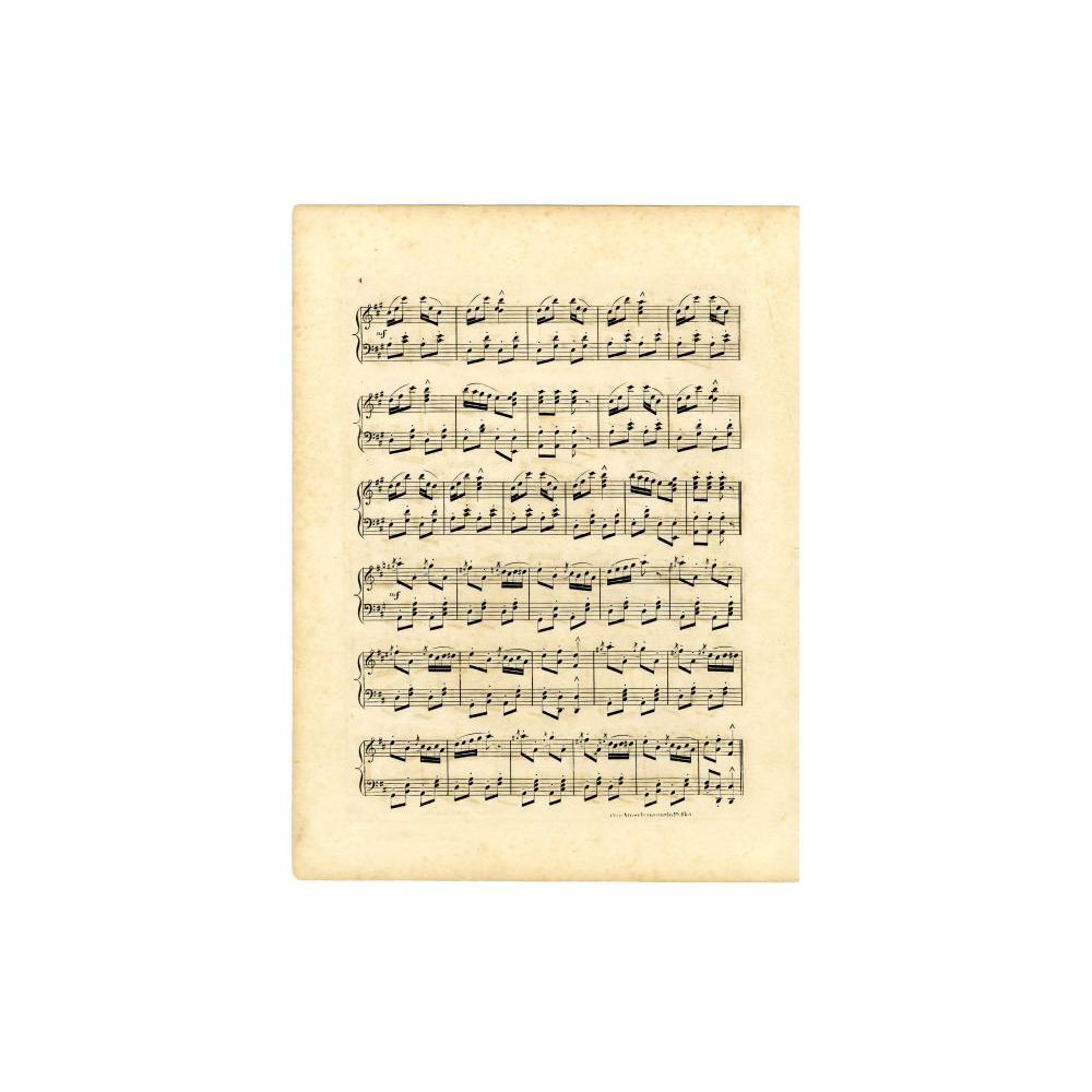 Image: Our American Cousin Polka