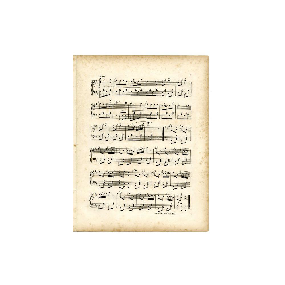 Image: Our American Cousin Polka