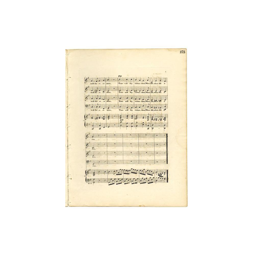 Image: Poor Uncle Tom