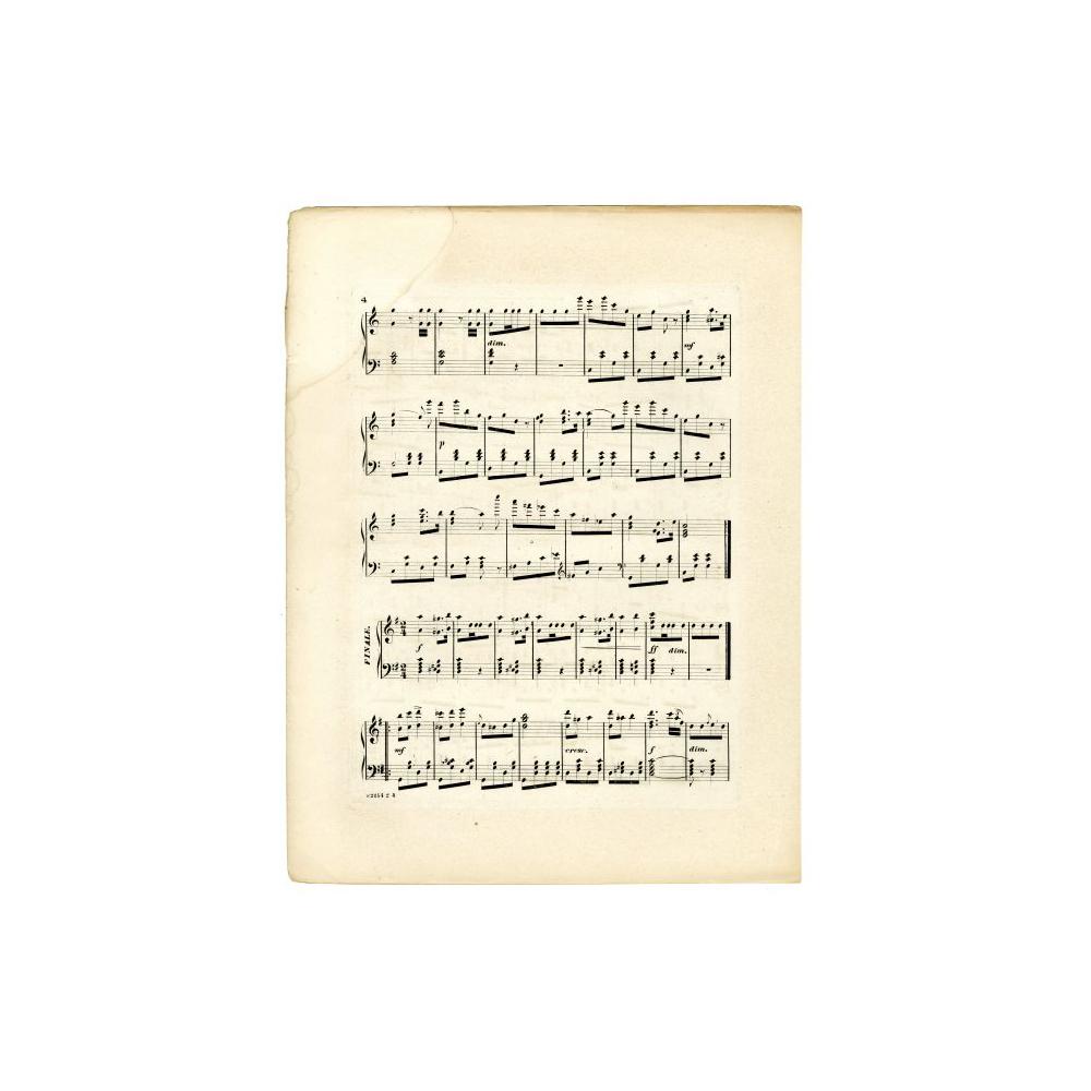 Image: Ristori Galop