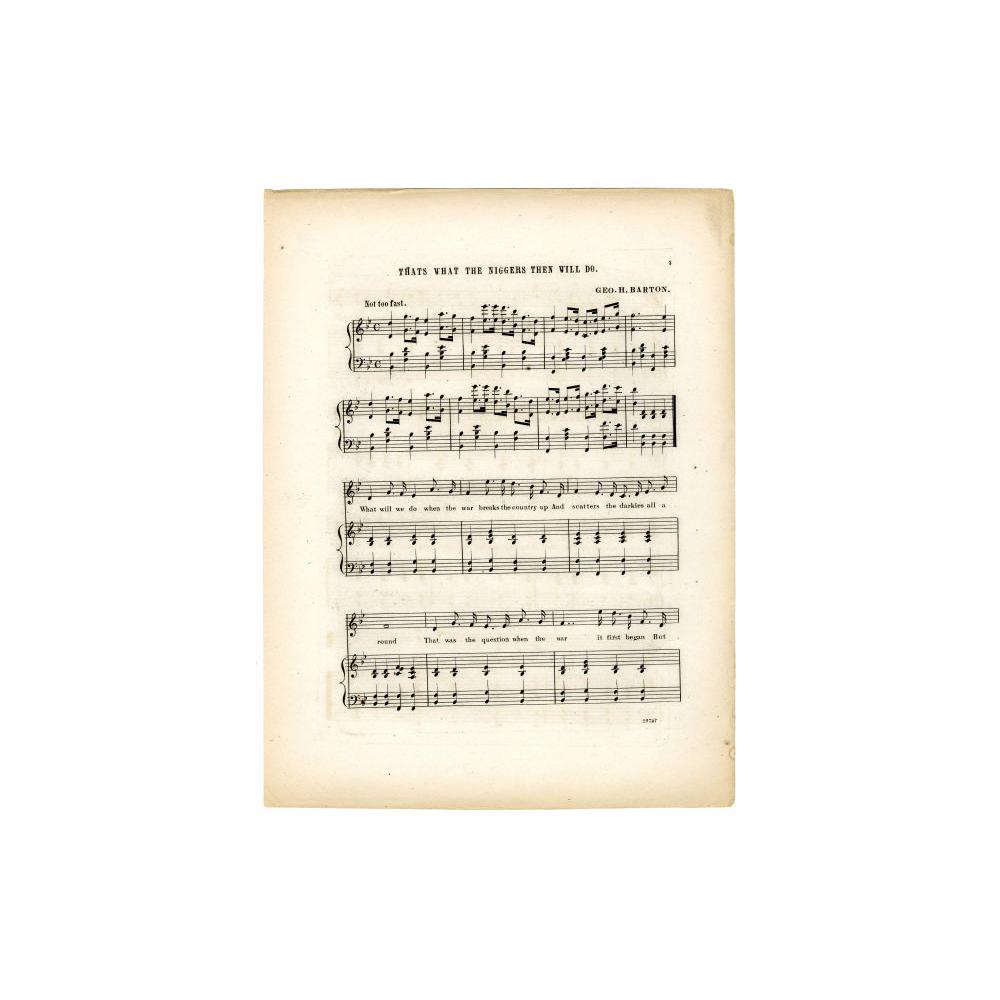 Image: That's What the Niggers Then Will Do