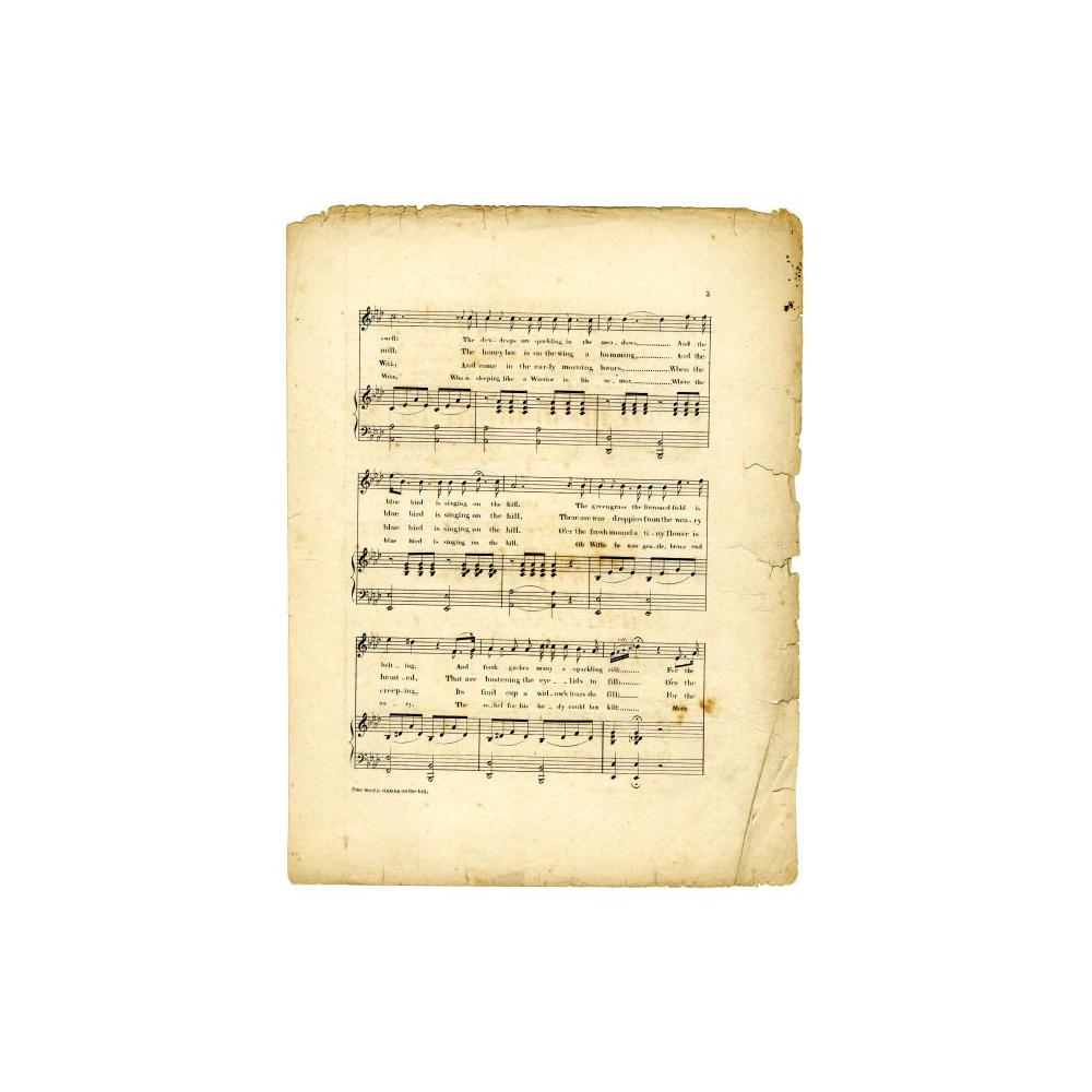 Image: The Volunteers Grave or Blue Bird is Singing on the Hill